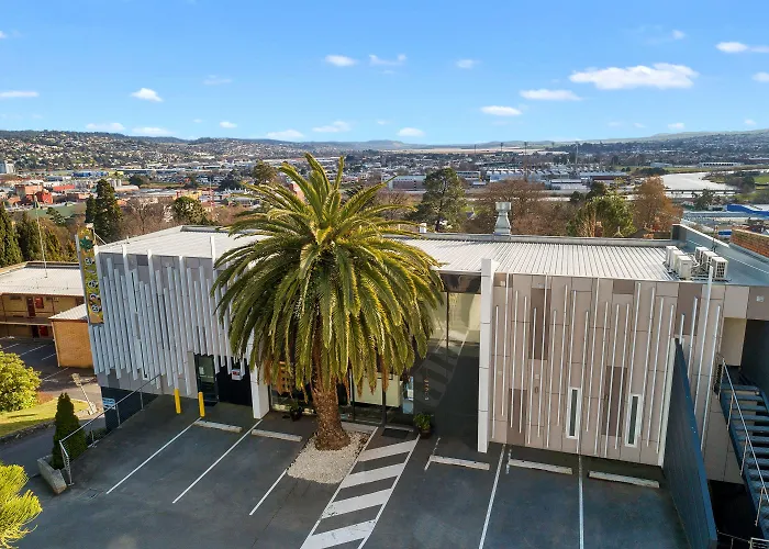 Areca Launceston