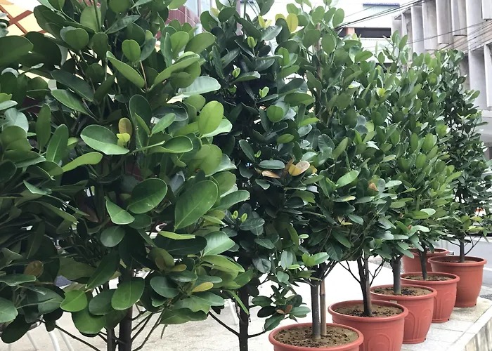 Hotel nahe College: Single Inn - Taipei