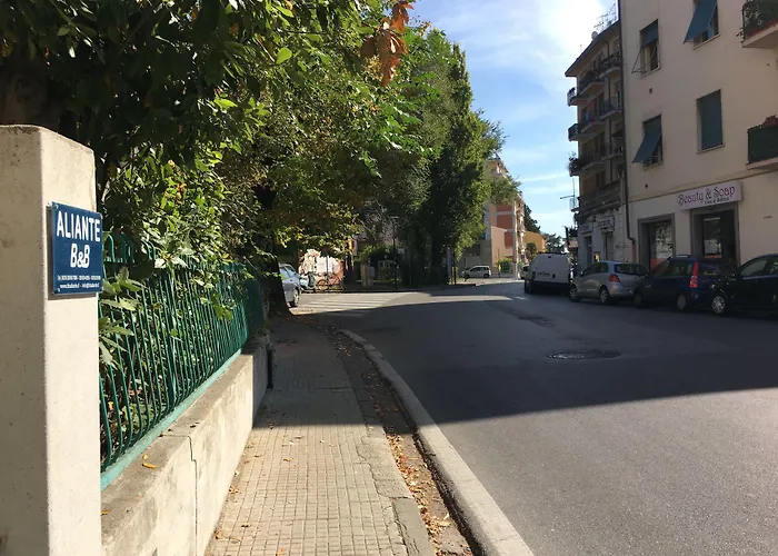  Aliante