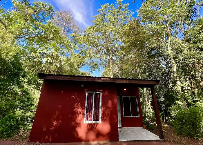 Rainforest &Cabañas