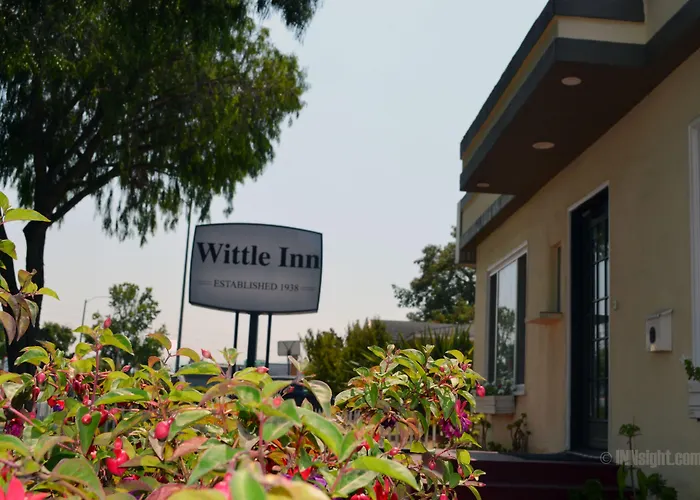 Wittle Motel