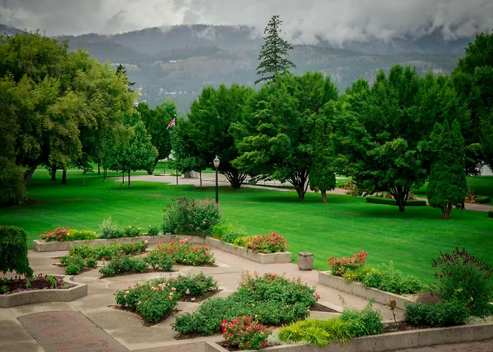 Zed Kelowna