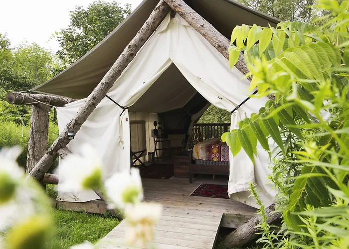 Pet Friendly hotel: Firelight Camps