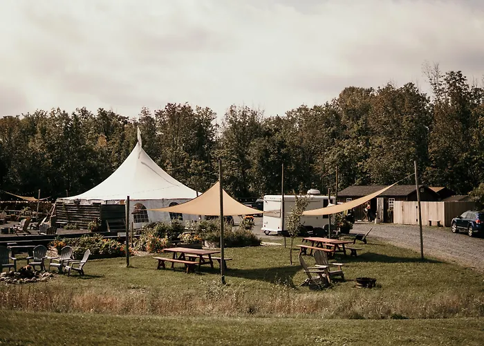 Pet Friendly hotel: Firelight Camps