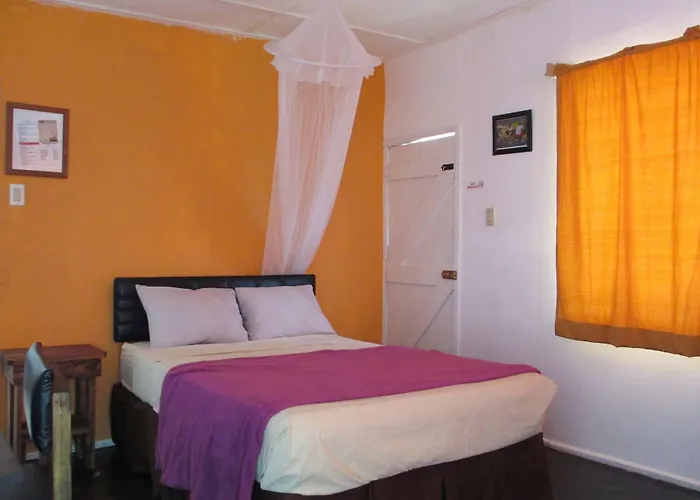 Pet Friendly hotel: Kingsworth Bed And Breakfast