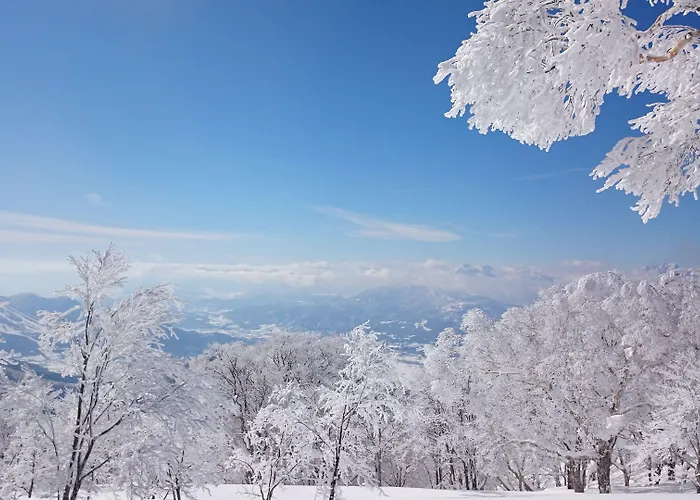 Nozawa Dream
