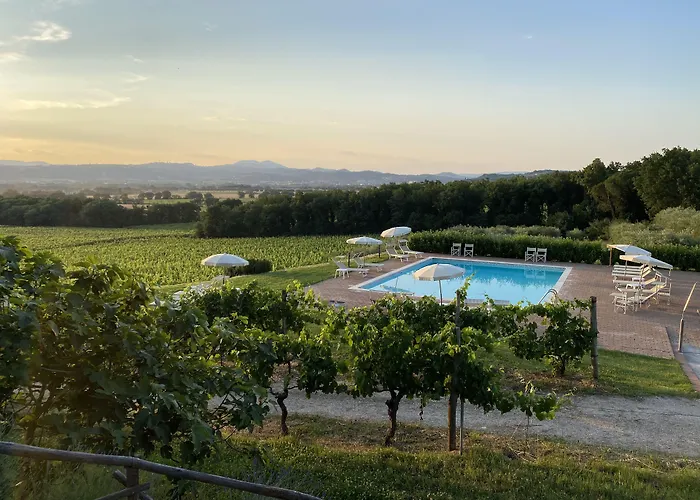 Poggio alle Vigne