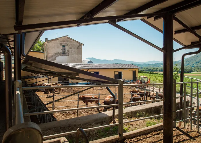 Fattoria Didattica La Collina Incantata