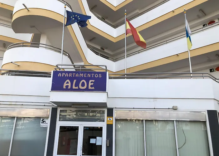  Aloe