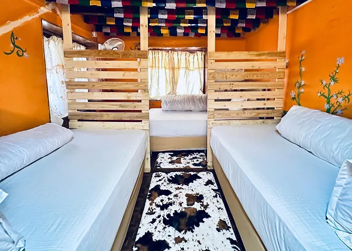 The Hostels Yog - Best Social Backpacker In Thamel -Rooftop-Capsule Bunks Ac