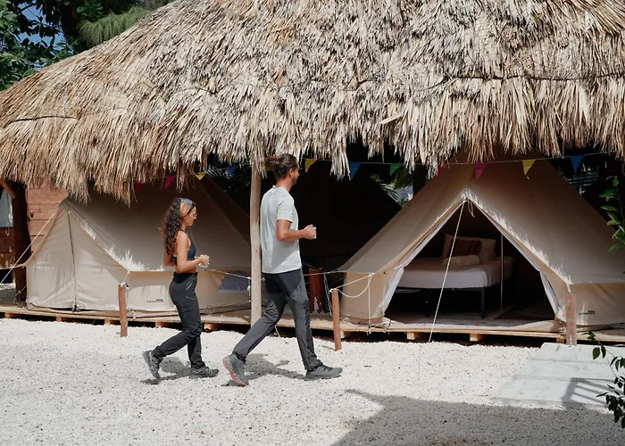 Mapache Hostel
