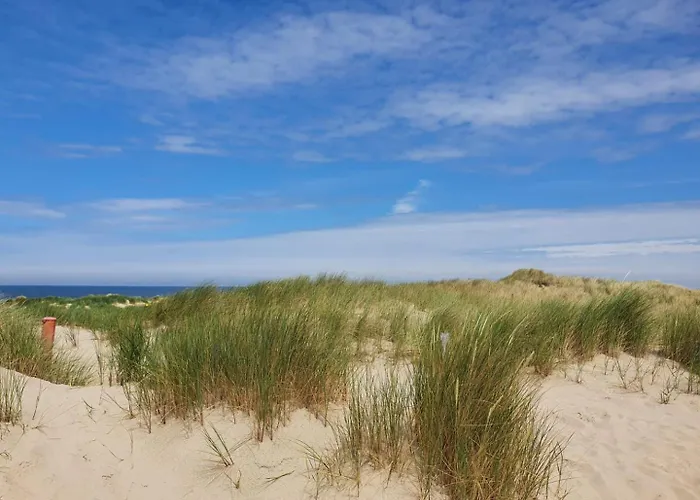 Huisdiervriendelijk hotel: Zandput 490 - Camping De Zandput