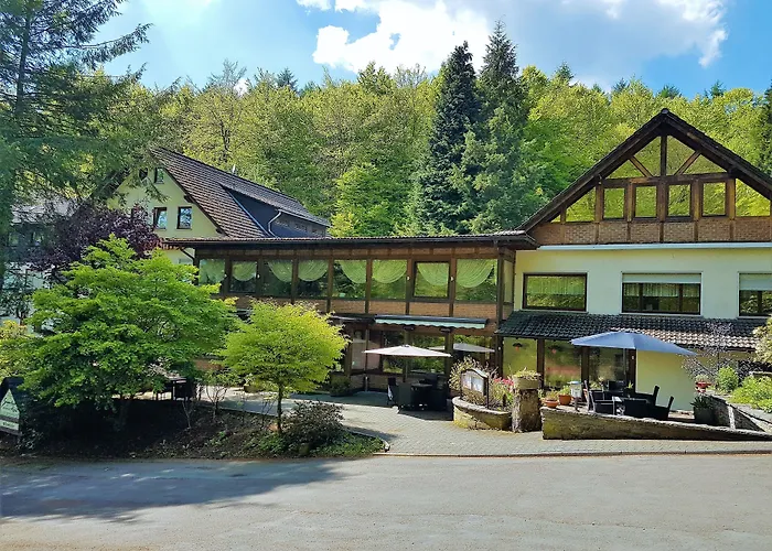 Siegerland-Hotel Haus im Walde