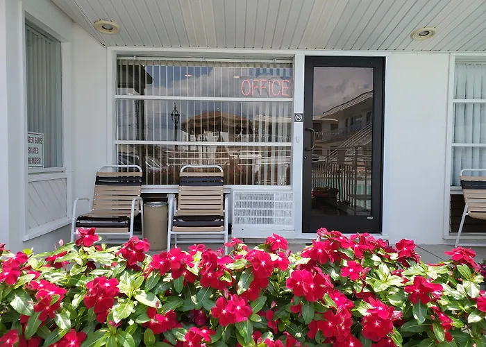 Hotel with view: Ivanhoe Motel