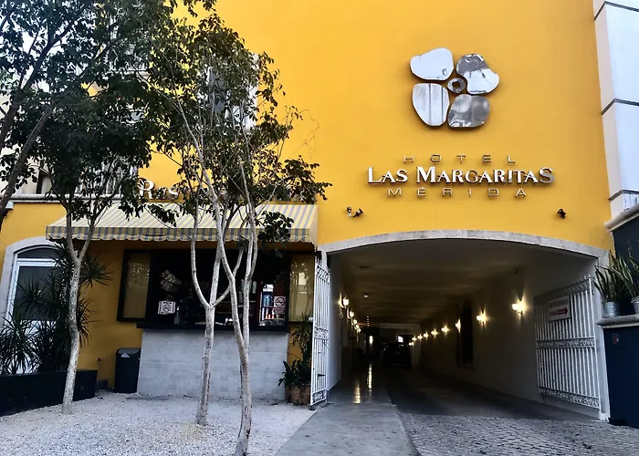  Las Margaritas