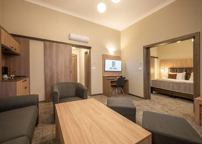Efi Spa Hotel Superior & Pivovar