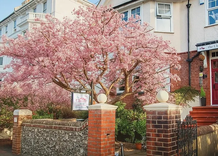 Cherry Tree Guest House