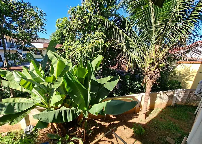 Twin House Guesthouse - Lao Experience