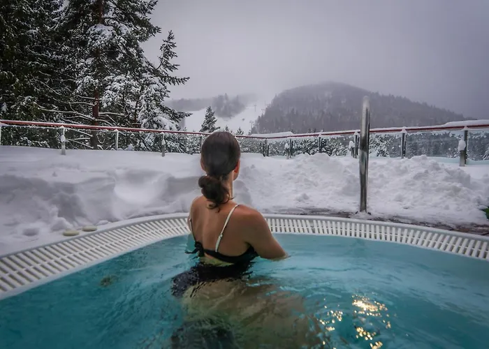 Ski hotel: Hotel Spa Dr Irena Eris Krynica Zdroj