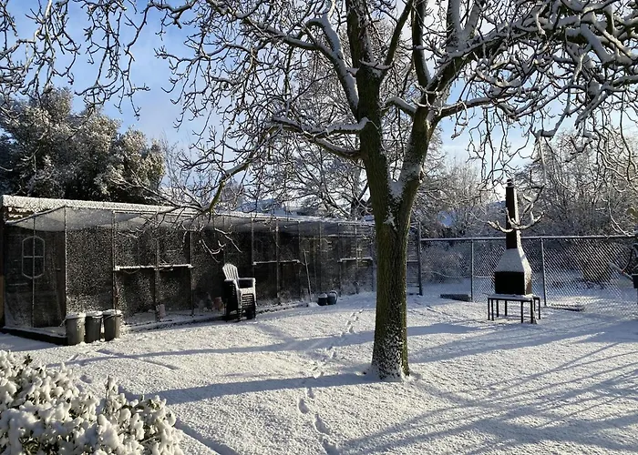 Cozy Holiday Home In Bergen Op Zoom With Garden