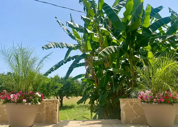 B&B Le Balate
