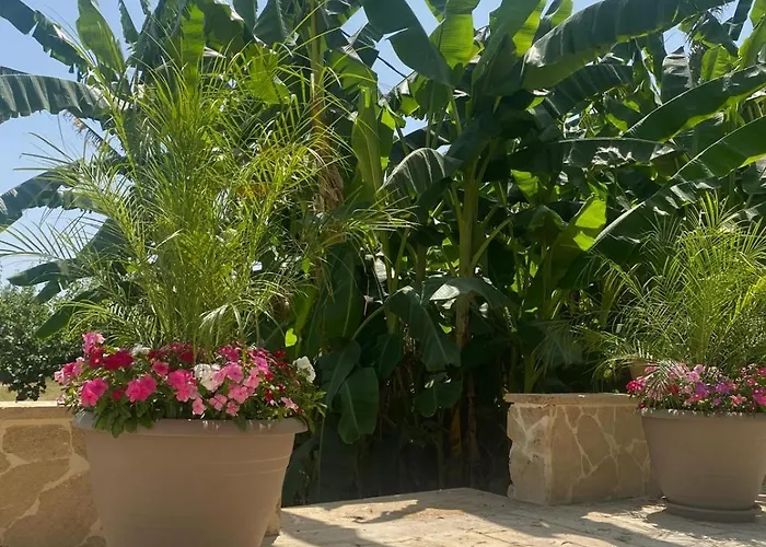 B&B Le Balate