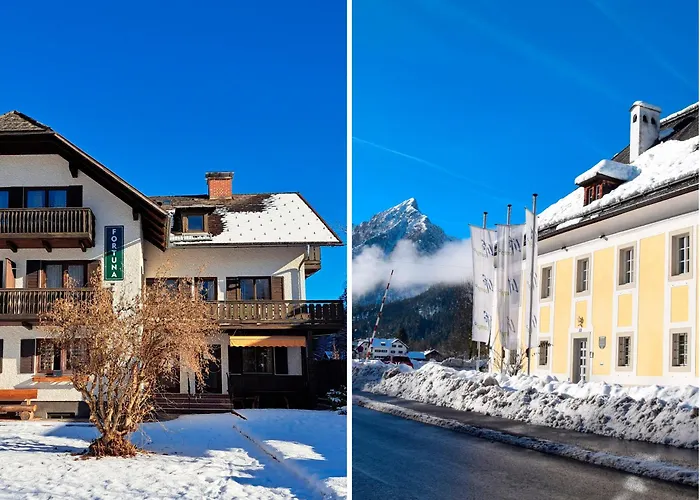 Haustierfreundliches Hotel: Life Camp