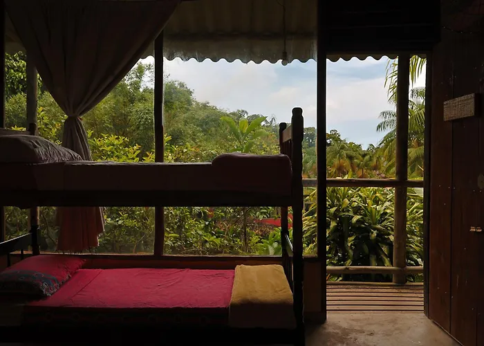 Eco Hostel Organic Life