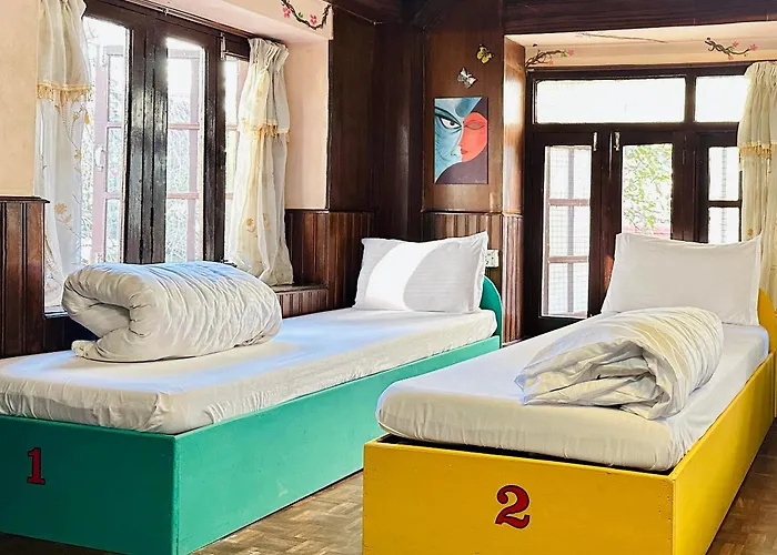The Hostels Yog - Best Social Backpacker In Thamel -Rooftop-Capsule Bunks Ac
