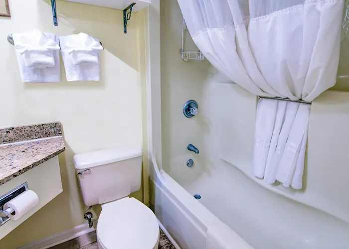 Apart hotel: Palms Resort