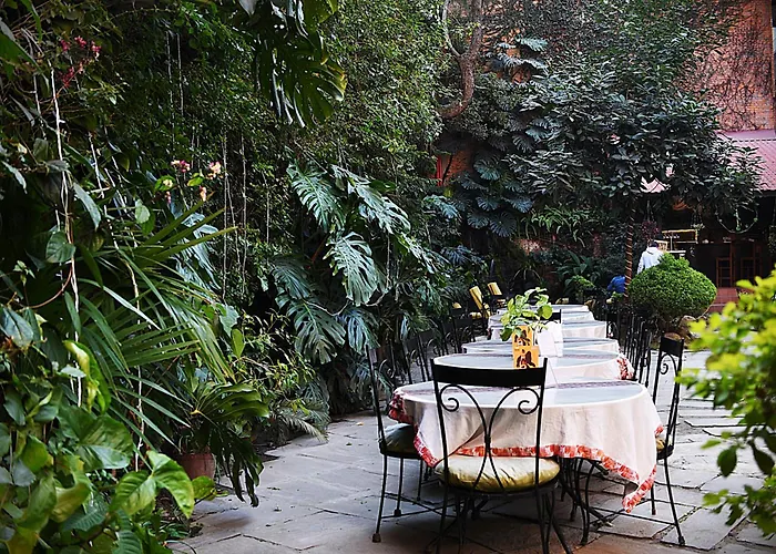 Hotel Nirvana Garden