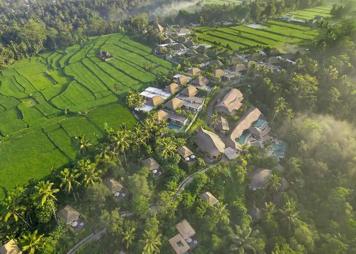 Pets Allowed Hotel K Club Ubud