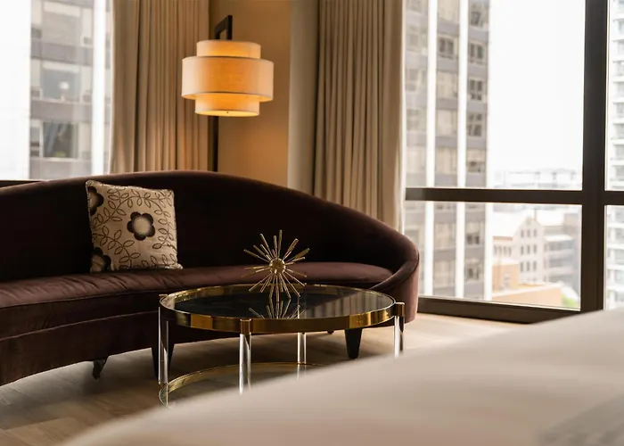 Pet Friendly hotel: Thompson Chicago, By Hyatt