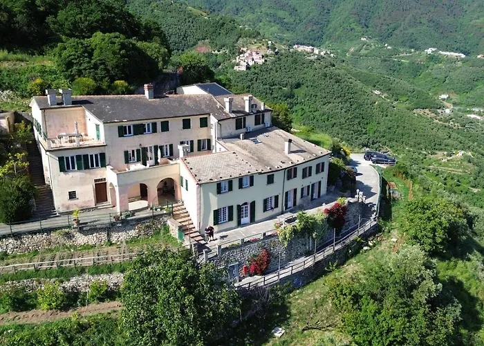 Tuvo