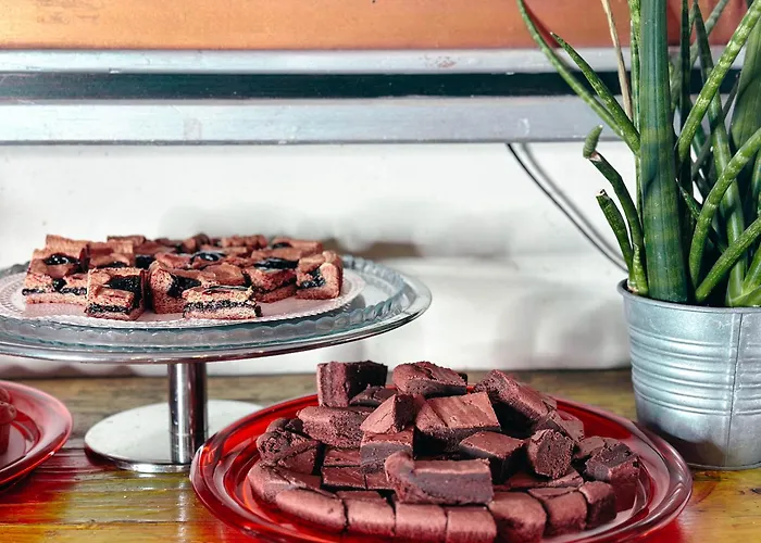 Hotel que aceita animais de estimação: Ostello Bello Roma Colosseo