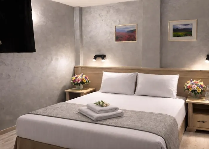 Hotel Aris