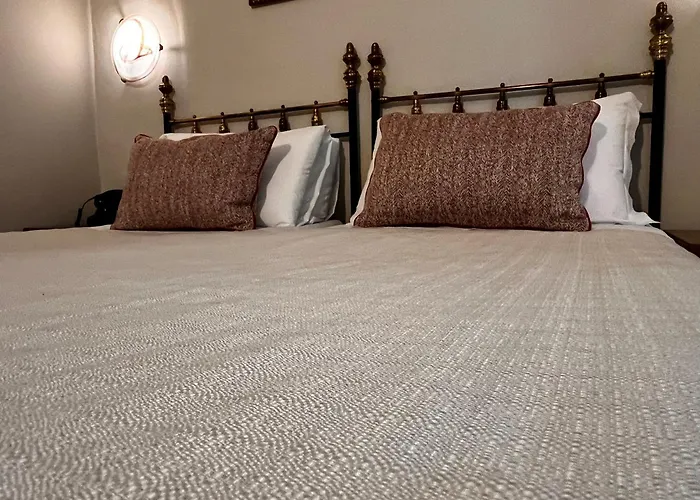 Pet Friendly hotel: Hotel Nizza