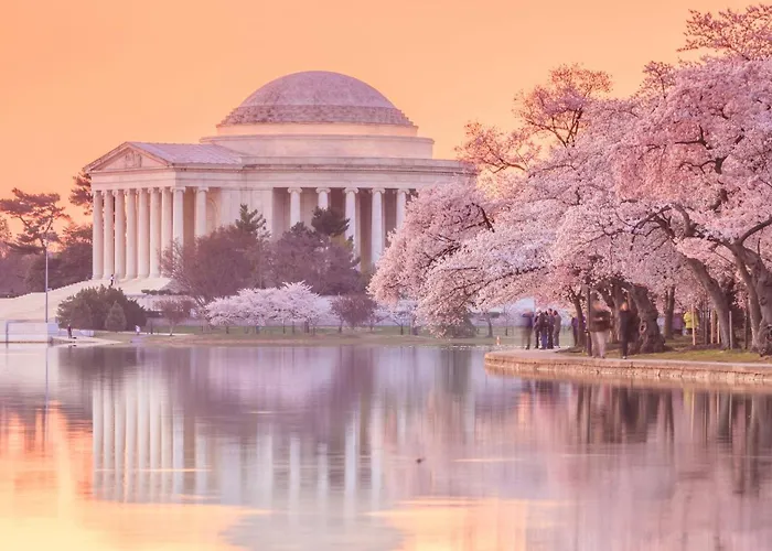 Family Hotel: Crowne Plaza Crystal City-Washington, D.C. By Ihg