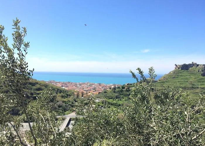 Il Mandorlo