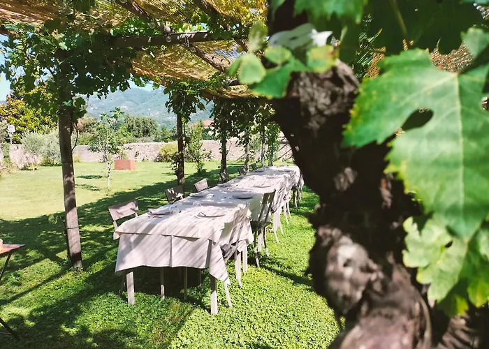 Badia Giulia Prestigious Historical B&B, Camaiore - Adults Only - No Pets