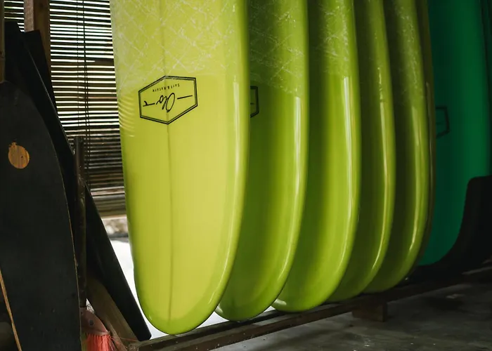 Olo Surf Nature