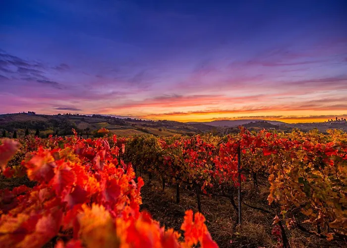 Agriturismo Il Segreto di Pietrafitta