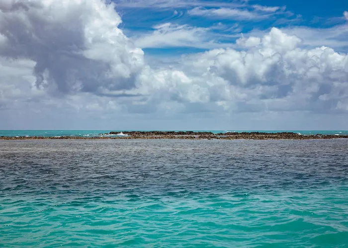 Ponta De Mangue