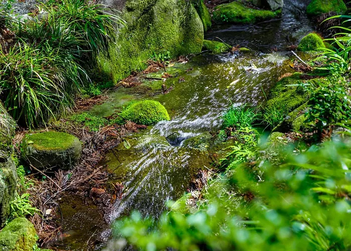 Hakone Kowakien