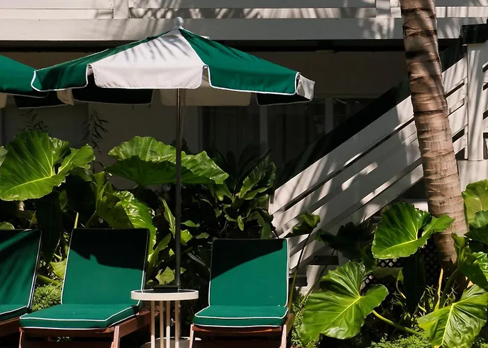 Motel: Perroquet Hotel