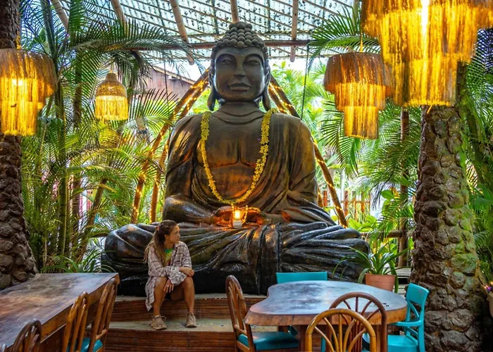 Pet Friendly hotel: Casa Del Sol