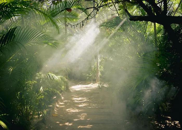  Nomade Temple Tulum