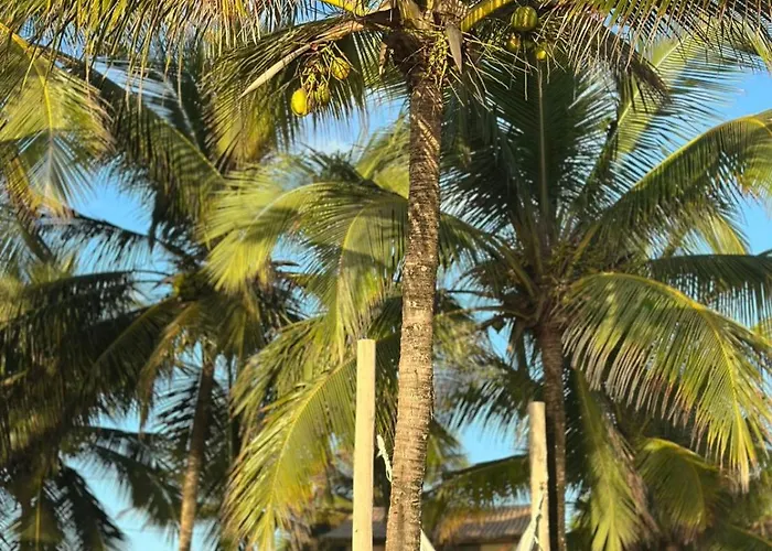 Caramuru