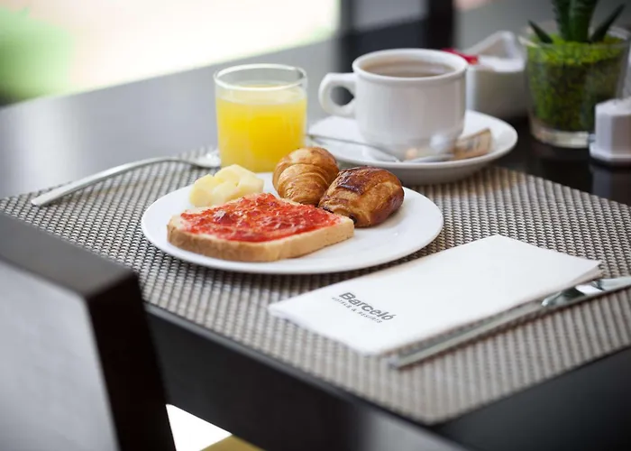 Pets Allowed Hotel Occidental Praha Five