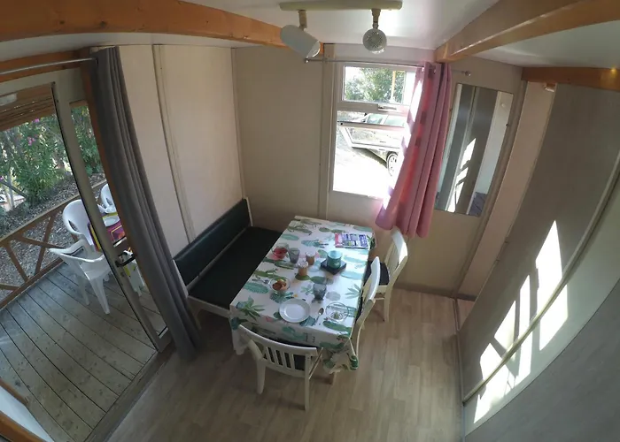 Camping Tikiti